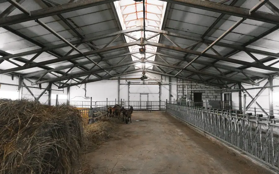 Bâtiment agricole en structure de bois dans la région de Lanaudière